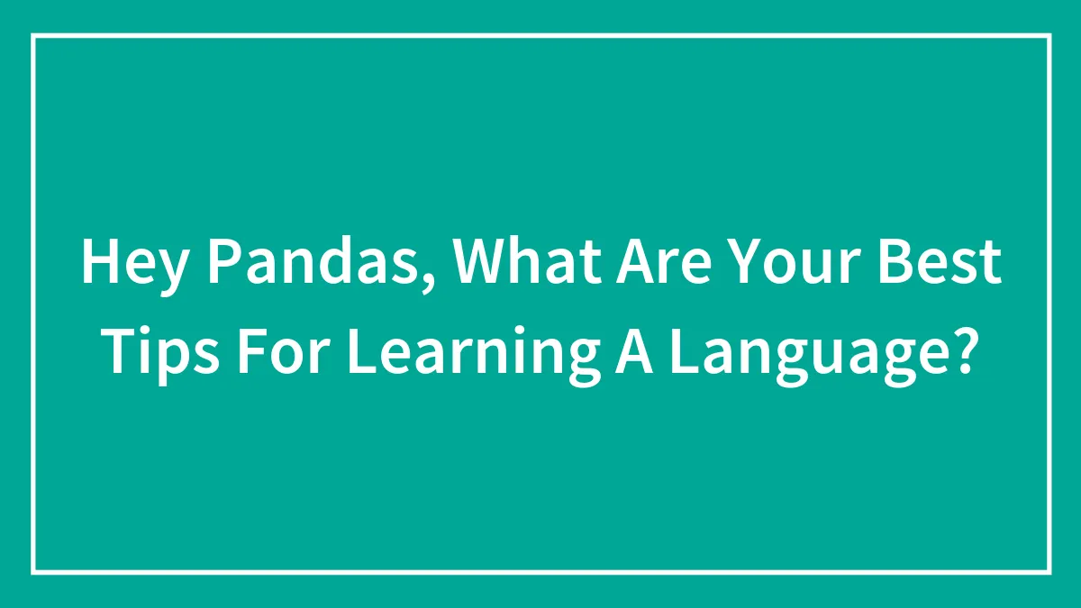 Hey Pandas, What Are Your Best Tips For Learning A Language? (Closed)
