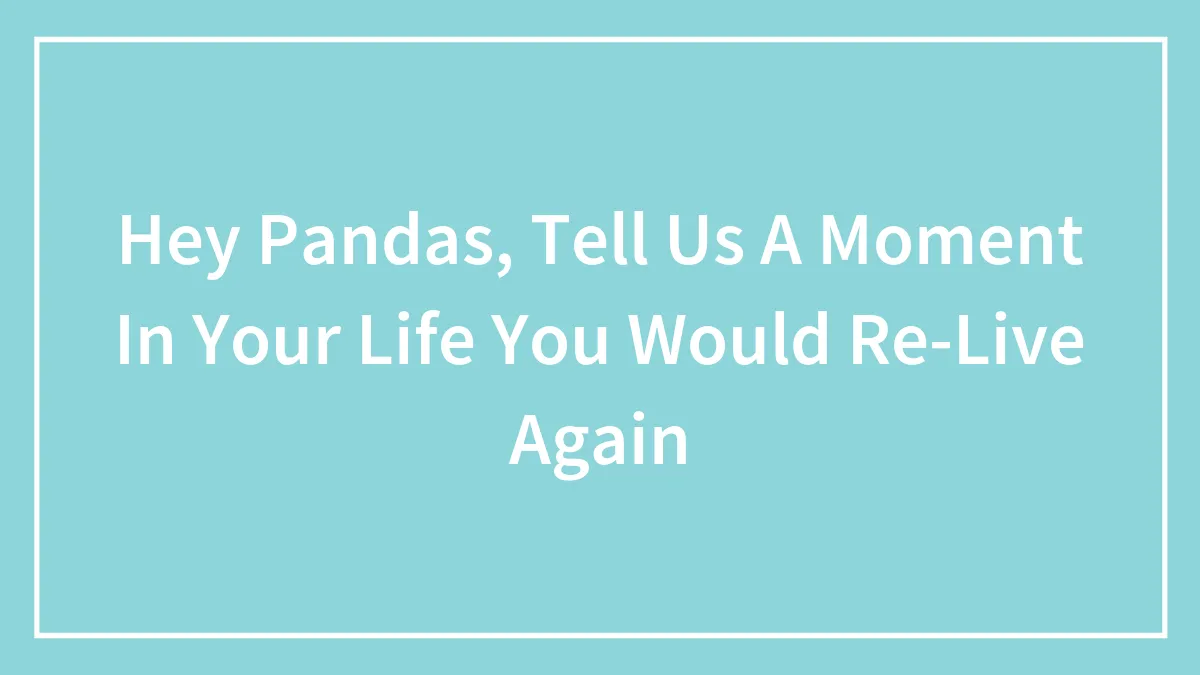 Hey Pandas, Tell Us A Moment In Your Life You Would Re-Live Again