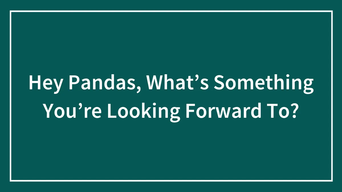 Hey Pandas, What’s Something You’re Looking Forward To? (Closed)