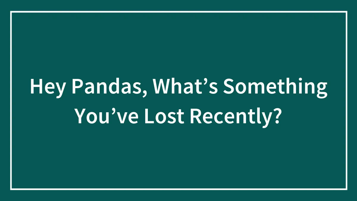 Hey Pandas, What’s Something You’ve Lost Recently? (Closed)