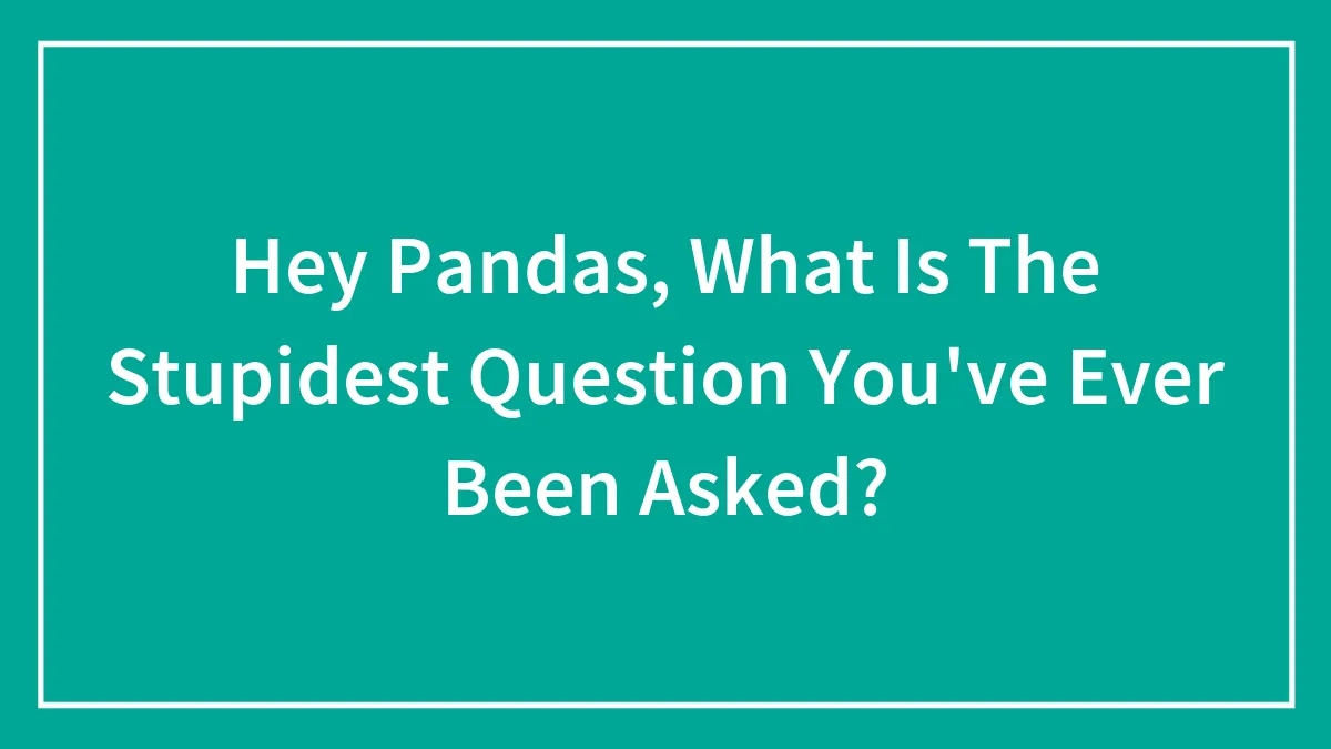 Hey Pandas, What Is The Most Stupid Question You've Ever Been Asked? (Closed)
