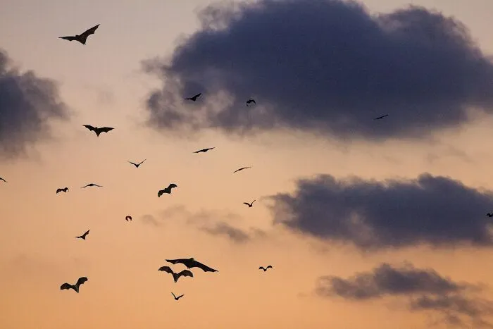 History Enthusiasts Are Sharing History Facts That Many People Would Find Shocking (50 Facts)