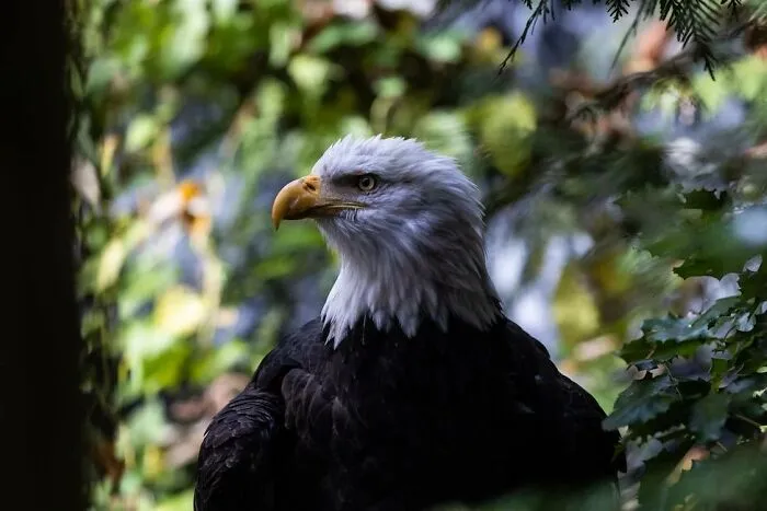 “Still Illegal In Most European Countries”: 30 Things That Are Only Normal In The USA