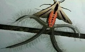 27 Scary Moments Many People Never Thought Could Even Happen