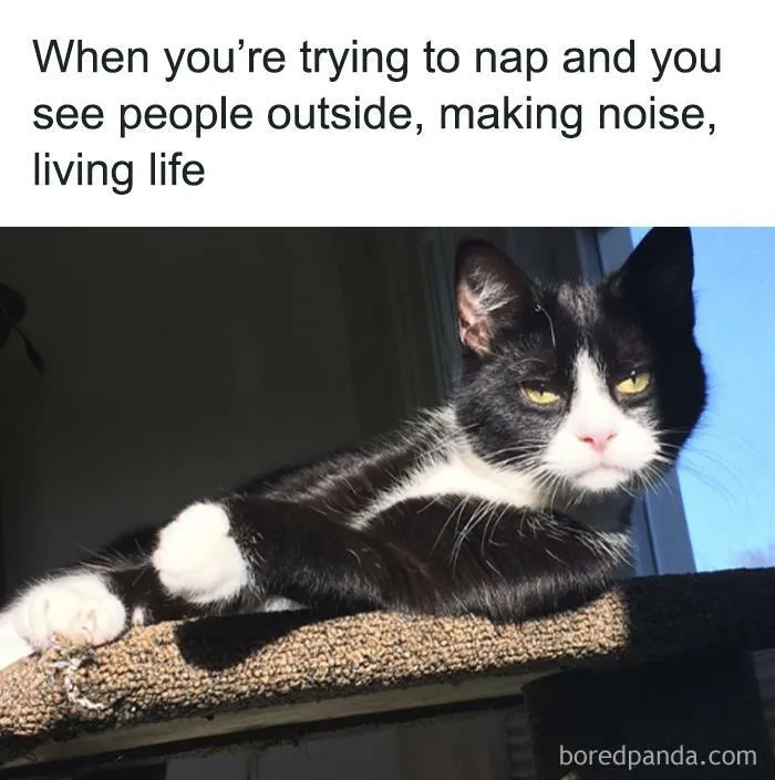 50 Funny Memes From This IG Page To Scroll Through Instead Of Doing Literally Anything Else