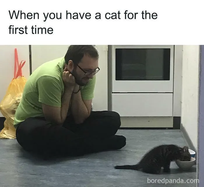 50 Funny Memes From This IG Page To Scroll Through Instead Of Doing Literally Anything Else