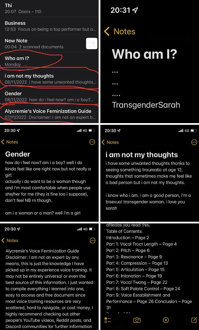 These Note Pages Randomly Appeared On My Notes App, And I Have No Clue How. I’m Not Transgender And Don’t Know Anyone Called Sarah