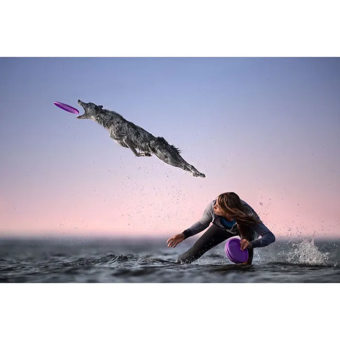 An Award Winning Photographer, Piccoli Is A Master At Capturing Dogs In Motion