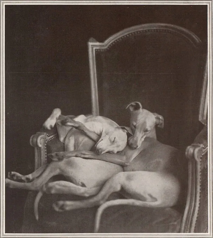Tatler Magazine, London, May 16, 1928
