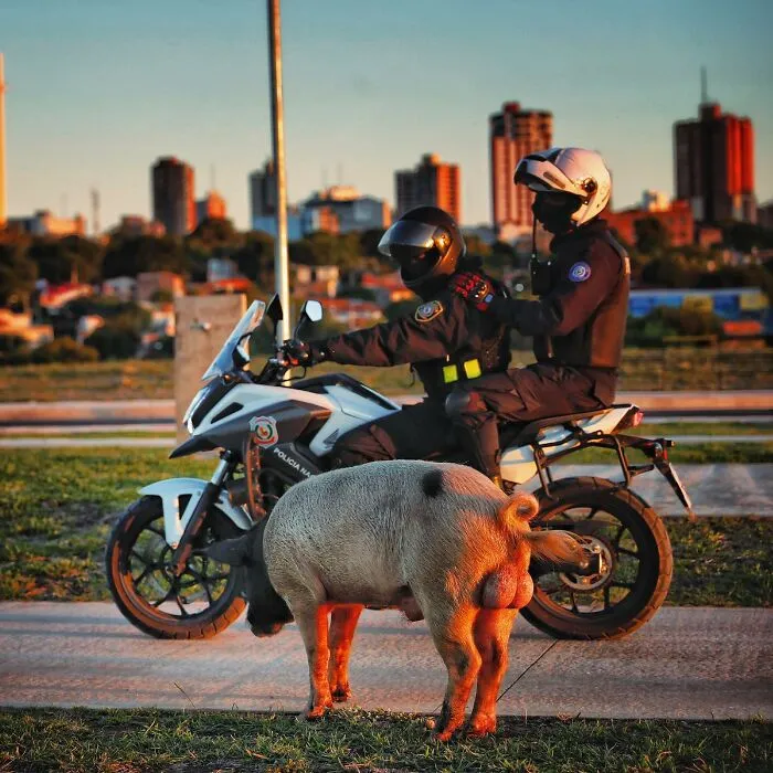 Photojournalist Captures Social Contrasts In Paraguay, Here Are His 33 Most Captivating Photos