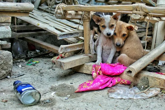 30 People Share The Biggest Culture Shocks They've Ever Experienced Abroad
