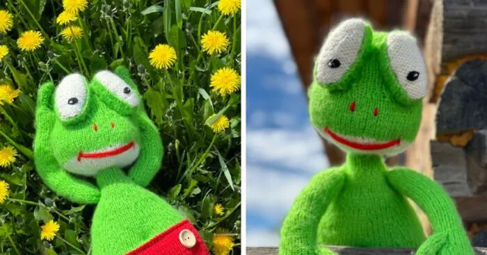 I Am A Toy Designer And This Is The Knitted Frog That I Made