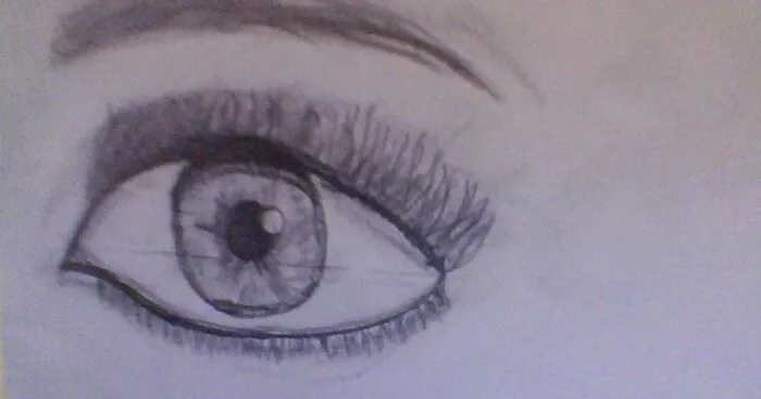 Hey Pandas, If You Are Bored, I Challenge You To Draw Me Your Best Eye! (Closed)