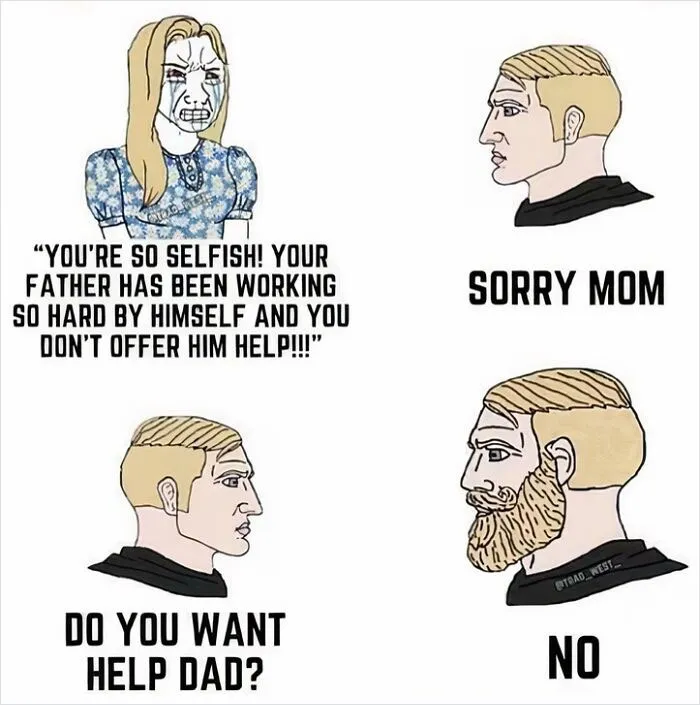 Cartoon meme about a family argument, where a mother scolds, and the father responds with "no" to help.