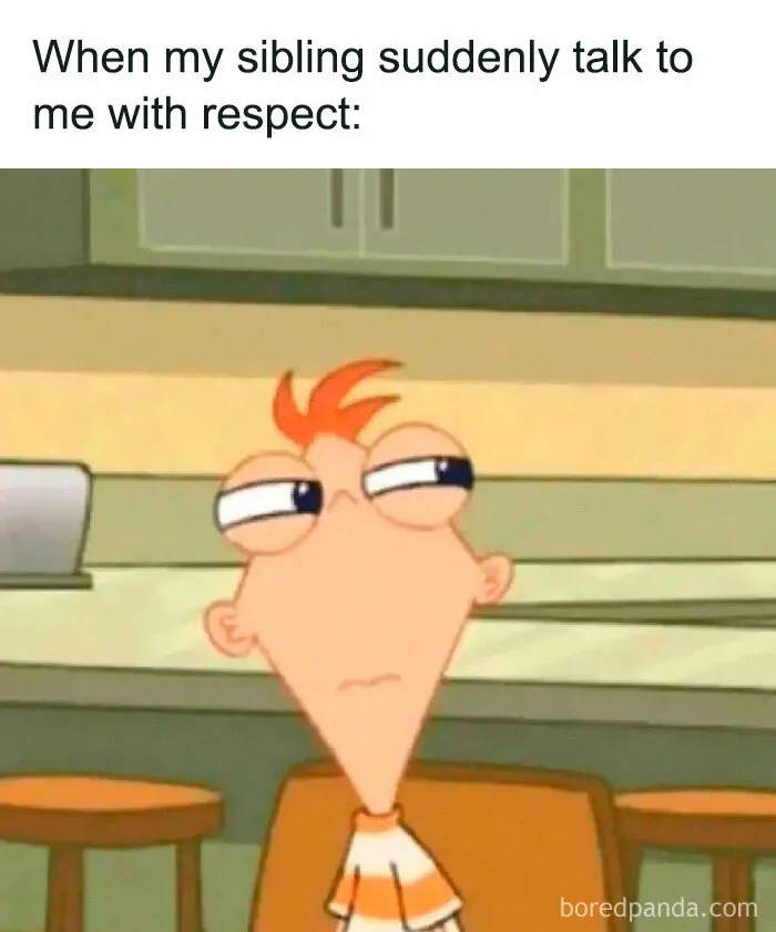 Cartoon character looking skeptical with text about siblings behaving respectfully, highlighting family memes.