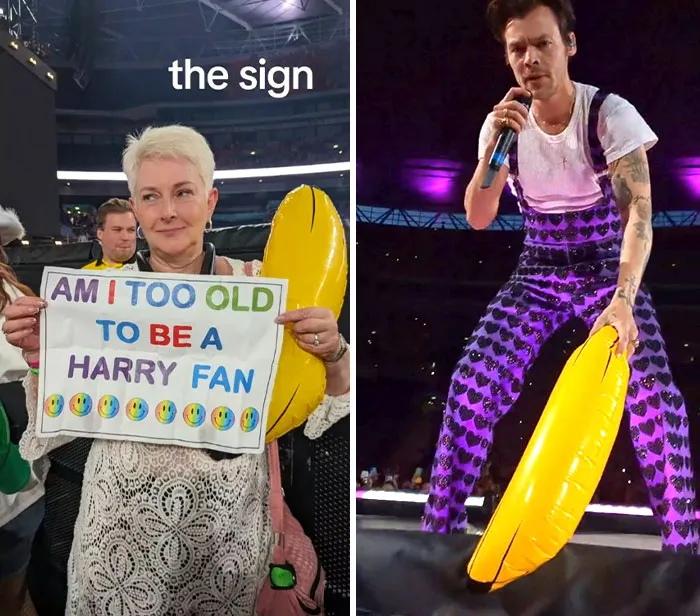 Harry Styles Replied To My Mom's Sign By Saying "Never"