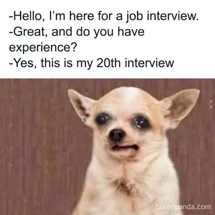 This Page Shares The Most Unhinged Memes, And Here's 28 Of The Funniest Ones