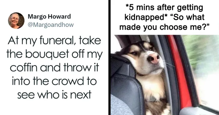 50 Hilariously Relatable Memes From “Just Nihilist Things”