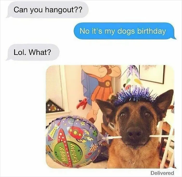 50 Hilariously Random Memes That Keep Entertaining 9.6M Followers Of This IG Page