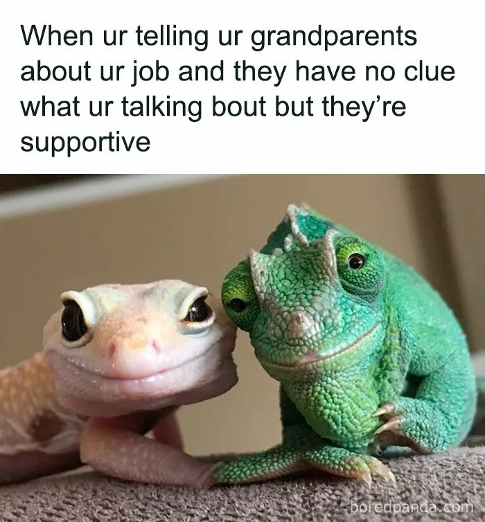 50 Hilariously Random Memes That Keep Entertaining 9.6M Followers Of This IG Page