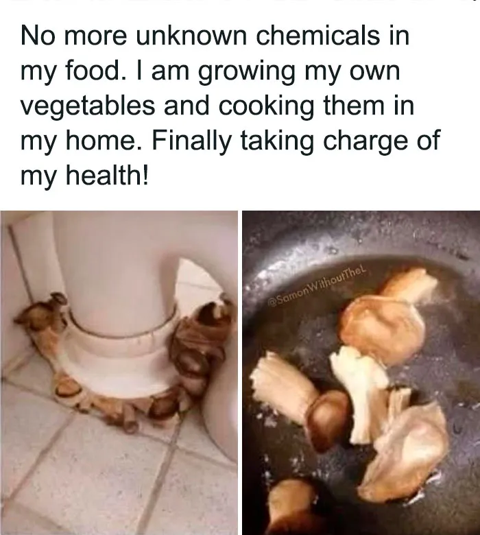 50 Hilariously Random Memes About Everything And Anything