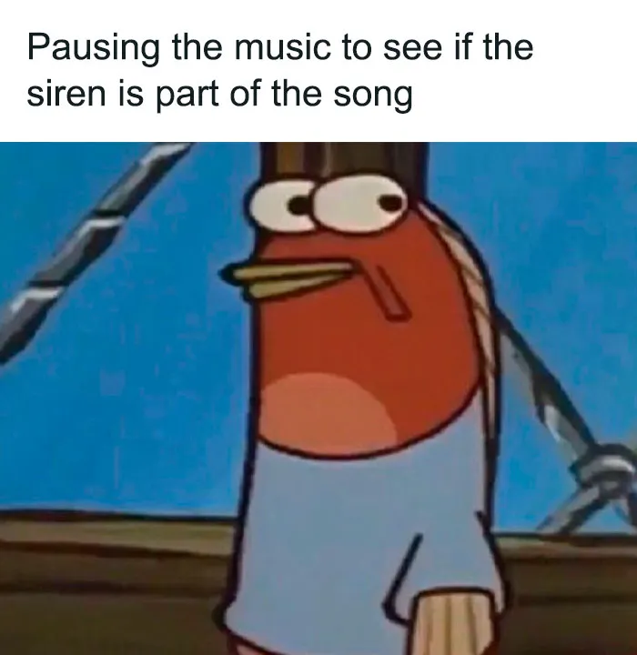50 Hilariously Random Memes About Everything And Anything