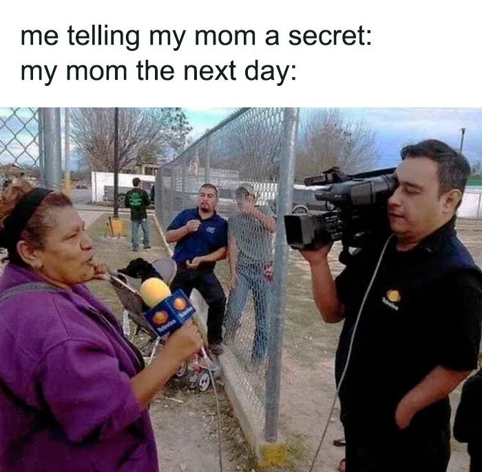 50 Hilariously Random Memes About Everything And Anything