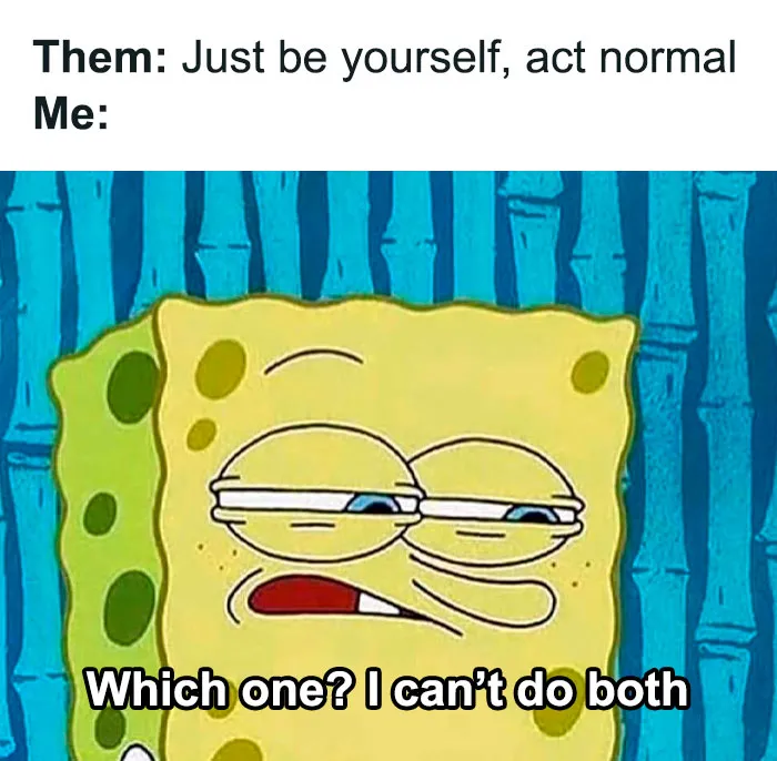 50 Hilariously Random Memes About Everything And Anything