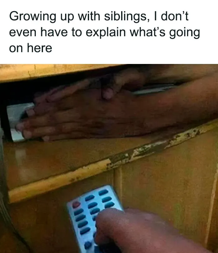 50 Hilariously Random Memes About Everything And Anything