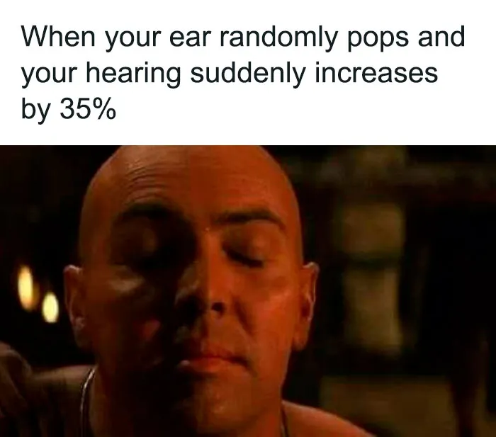 50 Hilariously Random Memes About Everything And Anything