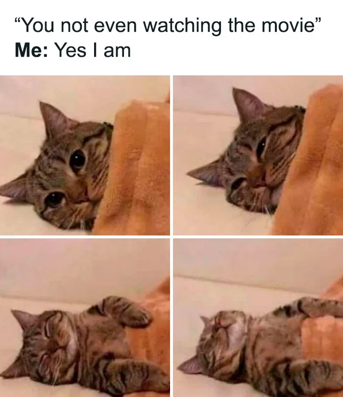 50 Hilariously Random Memes About Everything And Anything