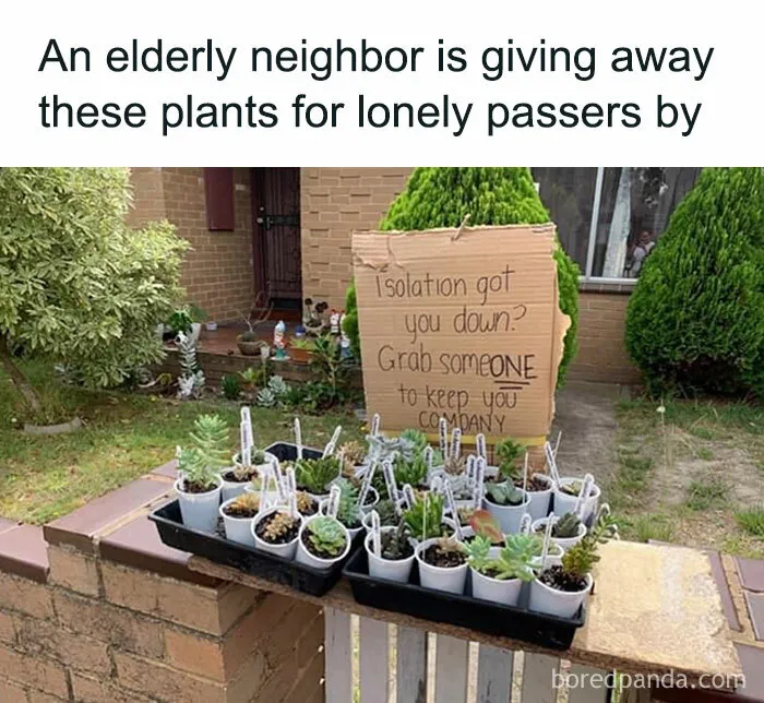 This Group Unites All Plant Lovers And Shares The Most Hilarious Gardening Posts Out There (50 Posts)