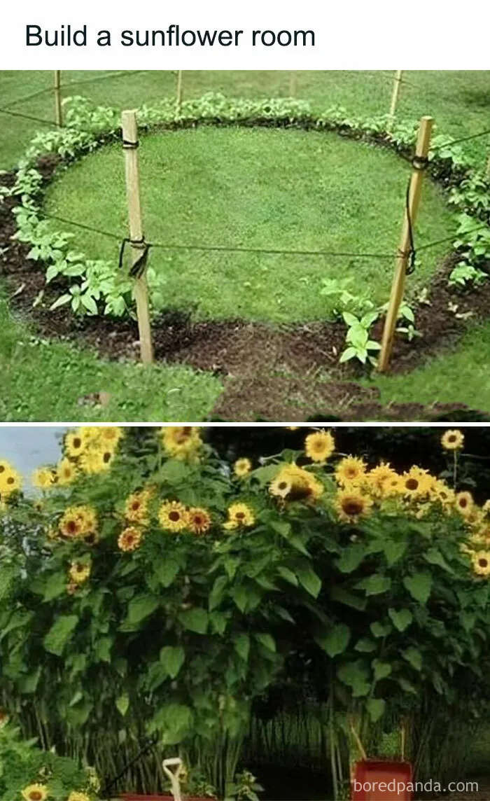 This Group Unites All Plant Lovers And Shares The Most Hilarious Gardening Posts Out There (50 Posts)