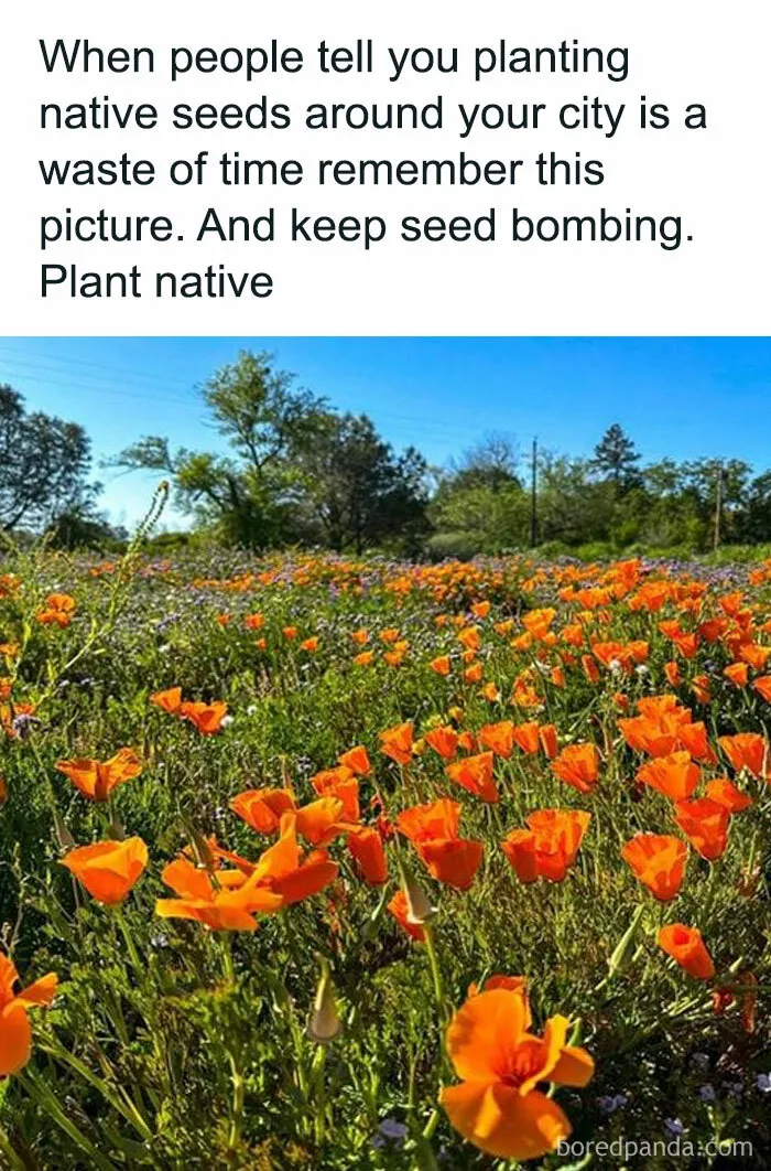 This Group Unites All Plant Lovers And Shares The Most Hilarious Gardening Posts Out There (50 Posts)