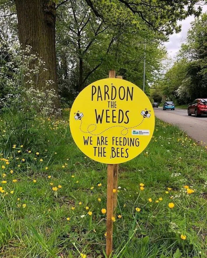 This Group Unites All Plant Lovers And Shares The Most Hilarious Gardening Posts Out There (50 Posts)