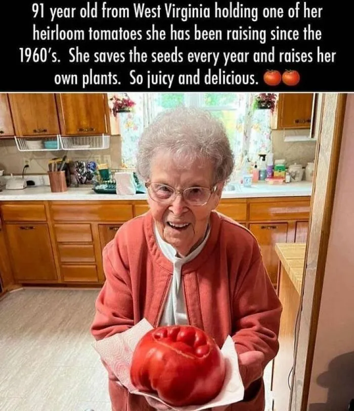 This Group Unites All Plant Lovers And Shares The Most Hilarious Gardening Posts Out There (50 Posts)