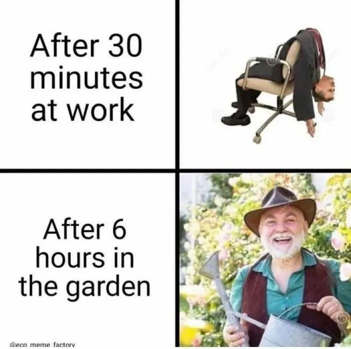 This Group Unites All Plant Lovers And Shares The Most Hilarious Gardening Posts Out There (50 Posts)