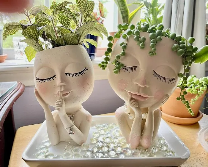 This Group Unites All Plant Lovers And Shares The Most Hilarious Gardening Posts Out There (50 Posts)