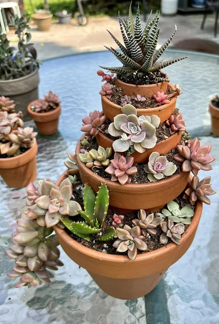 This Group Unites All Plant Lovers And Shares The Most Hilarious Gardening Posts Out There (50 Posts)