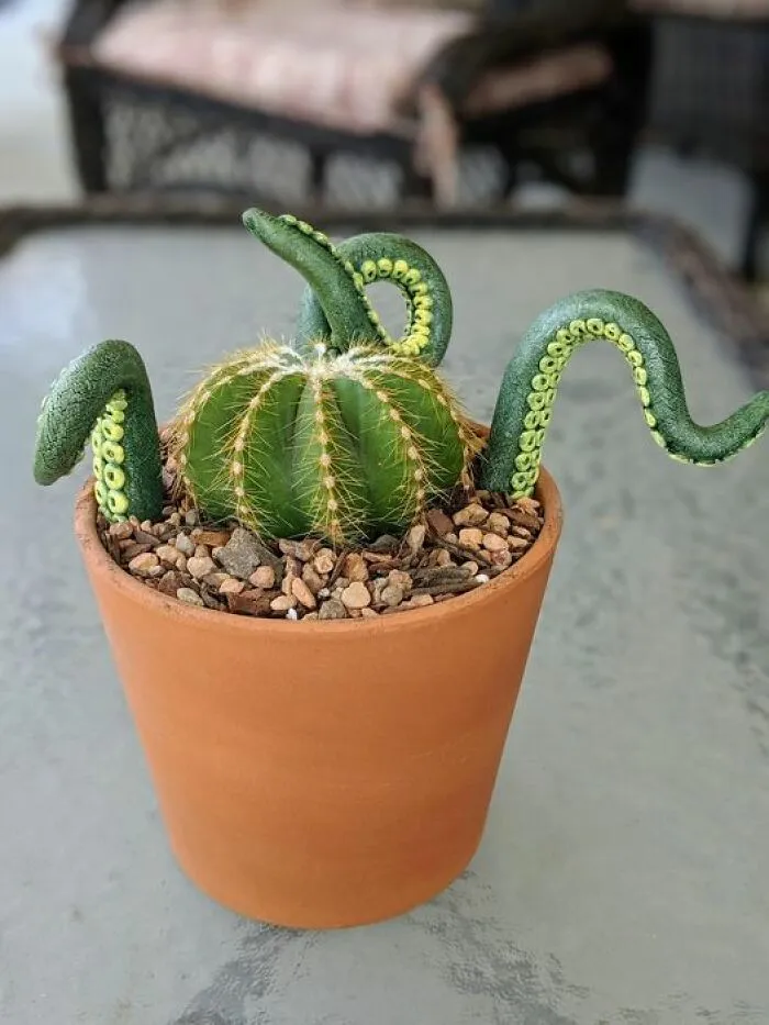This Group Unites All Plant Lovers And Shares The Most Hilarious Gardening Posts Out There (50 Posts)