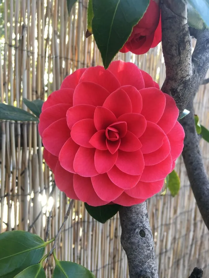 This Group Unites All Plant Lovers And Shares The Most Hilarious Gardening Posts Out There (50 Posts)