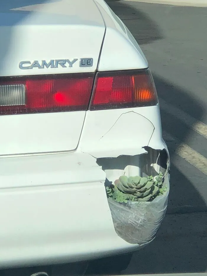 This Group Unites All Plant Lovers And Shares The Most Hilarious Gardening Posts Out There (50 Posts)