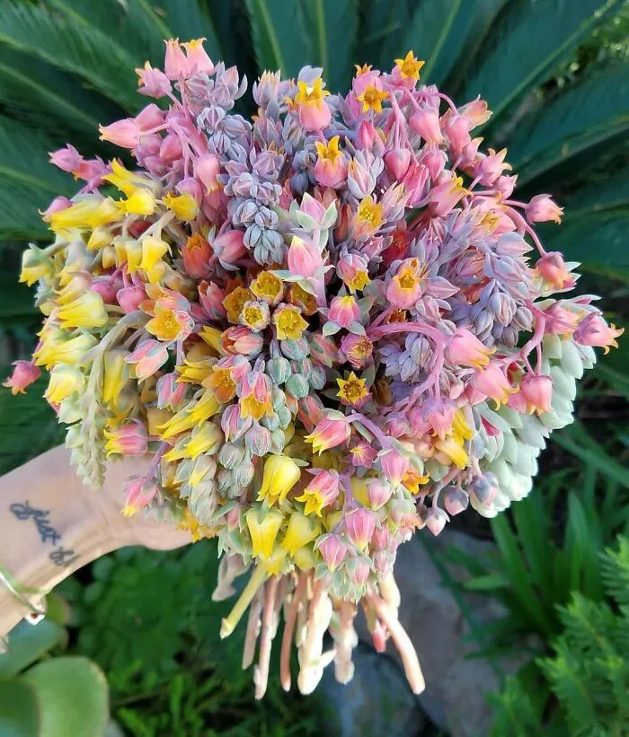 This Group Unites All Plant Lovers And Shares The Most Hilarious Gardening Posts Out There (50 Posts)
