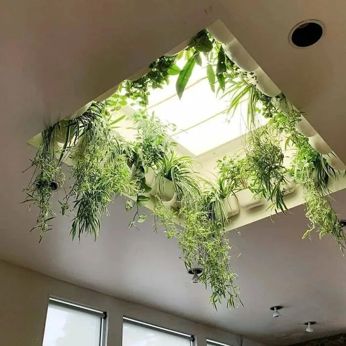 This Group Unites All Plant Lovers And Shares The Most Hilarious Gardening Posts Out There (50 Posts)