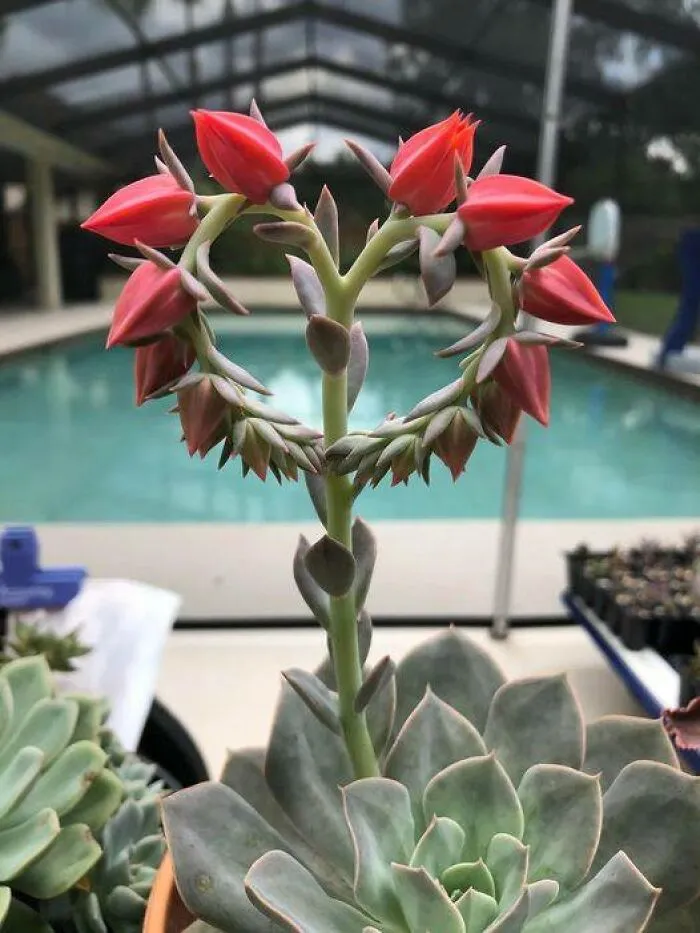 This Group Unites All Plant Lovers And Shares The Most Hilarious Gardening Posts Out There (50 Posts)