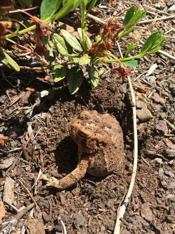 This Group Unites All Plant Lovers And Shares The Most Hilarious Gardening Posts Out There (50 Posts)