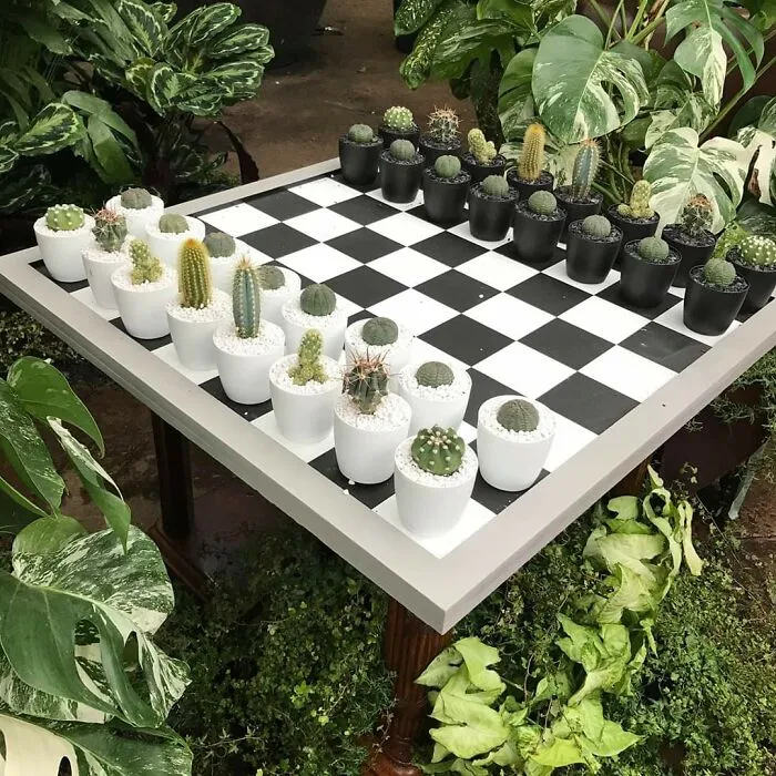 This Group Unites All Plant Lovers And Shares The Most Hilarious Gardening Posts Out There (50 Posts)