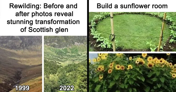 This Group Unites All Plant Lovers And Shares The Most Hilarious Gardening Posts Out There (50 Posts)