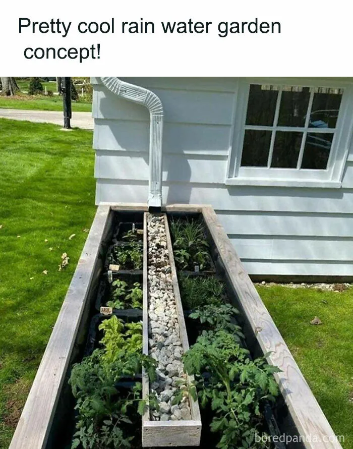 This Group Unites All Plant Lovers And Shares The Most Hilarious Gardening Posts Out There (50 Posts)