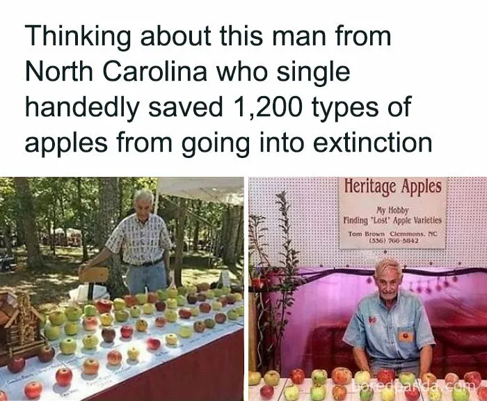 This Group Unites All Plant Lovers And Shares The Most Hilarious Gardening Posts Out There (50 Posts)